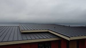 Best Roof Replacement  in Portola, CA